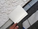 Buongiorno 098a.jpg