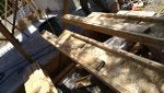 IMG_20170909_131553779.jpg
